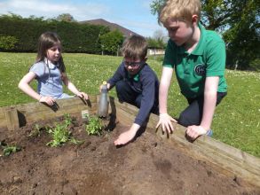 Eco-Schools Planting Project